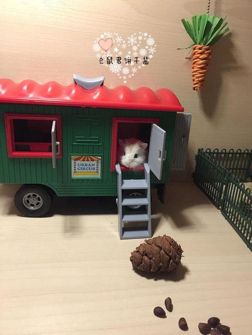 别管它！ “废话”