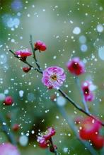 我愿意下雨。