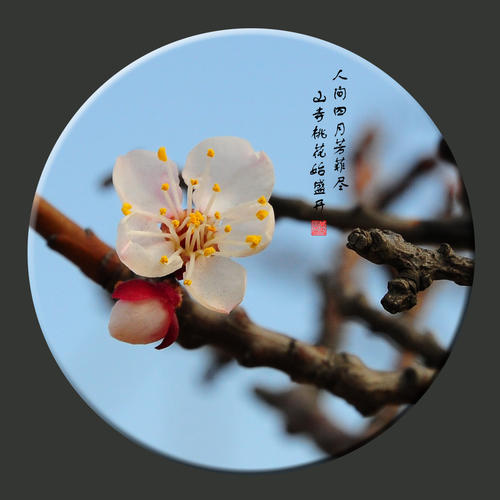 方锋