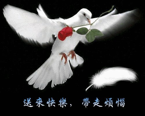 沉默的关注