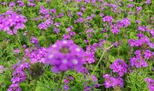 那段遥远的日子