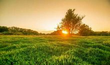 像小草一样活着