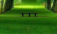 感受中华文字的魅力