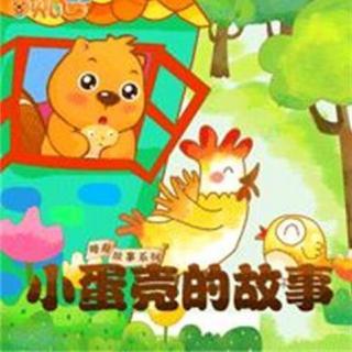 蛋壳
