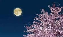 月圆之夜团圆之时