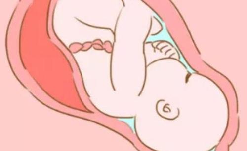 如果高考又来了