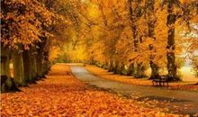 放缓“共享”的脚步