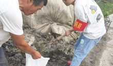 年龄相仿的同学