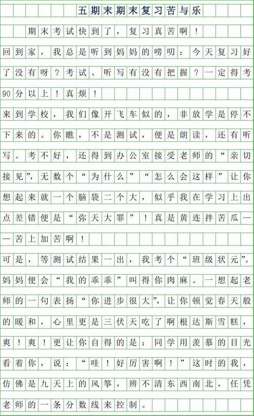 美丽的东营组成