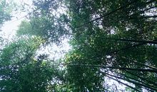 生活的碎片，碎片化的生活