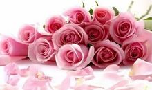 一句感谢，滋润了我的心田