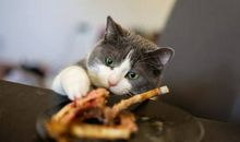 愿它，永远雄姿英发