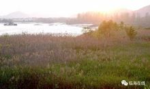 家乡春光好，河上学子踏青来