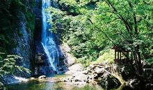 六安人的好去处——记中央森林公园