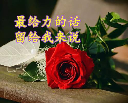 我了解护理
