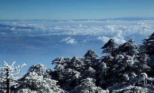 那种雪