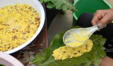 又是一年粽香时