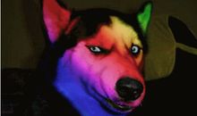 我需要心灵的眼镜