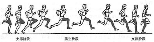 踮踮踮尖尖