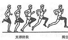 踮起脚尖的高度