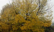 与“风雨雪”一起走过得日子