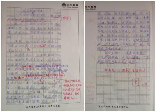 矛盾的成长笔记组成