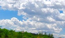 我需要一片自由的天空