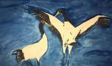 我与诗歌的邂逅