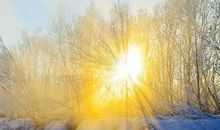 寒冬中的一抹阳光