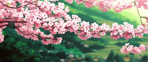 和歌曲和平静