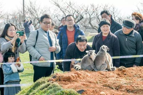 年度味道仍然丰富