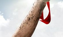 我想握住您的手