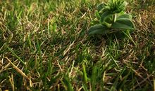 留住岁月刻下的痕迹