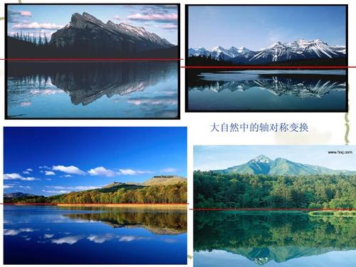读自然