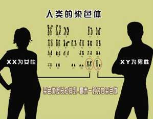 父亲节