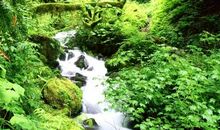 渴望那涓涓细流