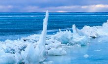 我们的“共享”