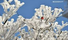 2017年冬天的第一场雪