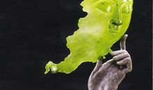 那次蜕变，滋润了我的心田