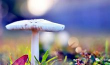 向向美而行的你们学习