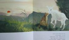 太阳鸟和眼镜王蛇读后感