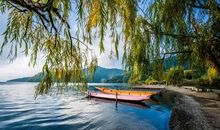 心若在风景就在