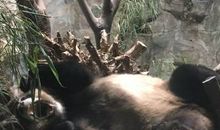 细品方知其中味