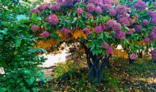 凄冷大街中的暖意