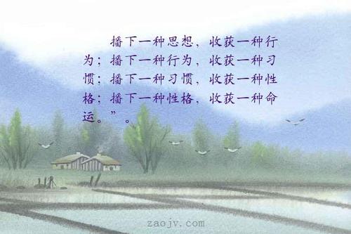 有一个美丽的收获