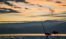 人生路上真情多