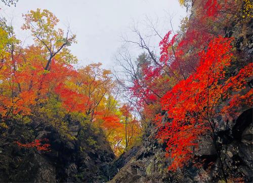 追求秋天的影子
