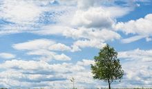 假如季节有颜色