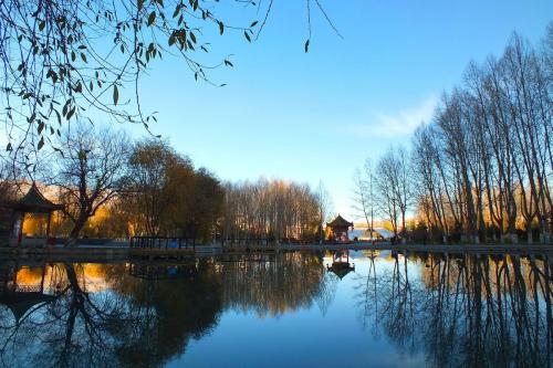 心脏在风景中