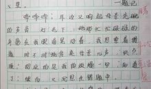 以父母爱情为主题写作文